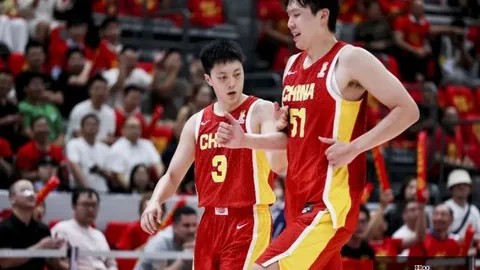 2026深度解析海湾运独家：我的数据秘籍大公开